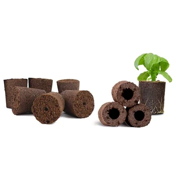 Augalų auginimo kempinės sodo hidroponiniam patalpų sodui išmanioji kempinė su maistinėmis medžiagomis, pakaitalas auga ankštis
