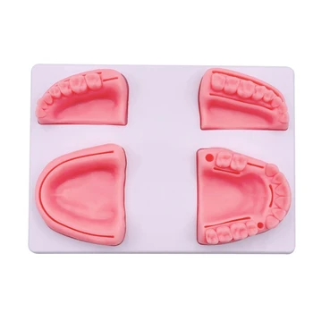 Dantų siūlų treniruočių kilimėlis, sukurtas su 4 tikroviškais silikoniniais dantų siūlų kilimėliais