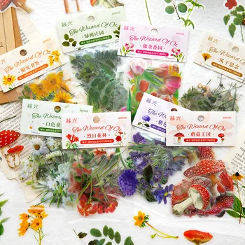 MOHAMM 40vnt Neperšlampami PET lipdukai su augalų ir gėlių temomis, skirti 