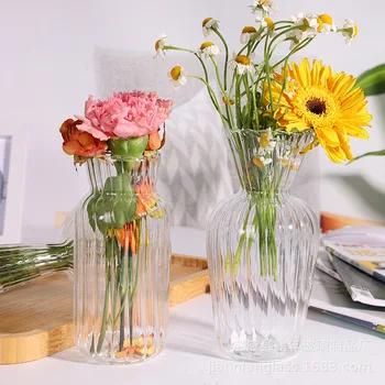 Skaidrios stiklinės vazos augalų buteliui Gėlių vazonas Šiaurės šalių kūrybinė hidroponinė terariumo kompozicija Konteineris Gėlių stalo vaza